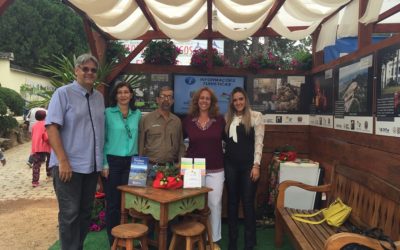 Começa a Festa de Flores e Morangos em Atibaia